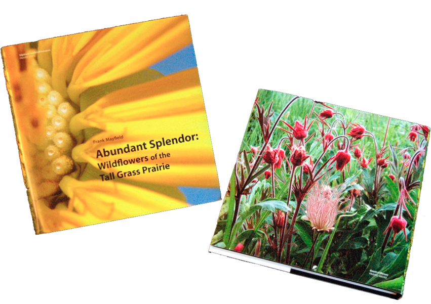 01 - front & back dust cover