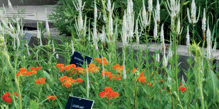 07 - Interpretation Center spread