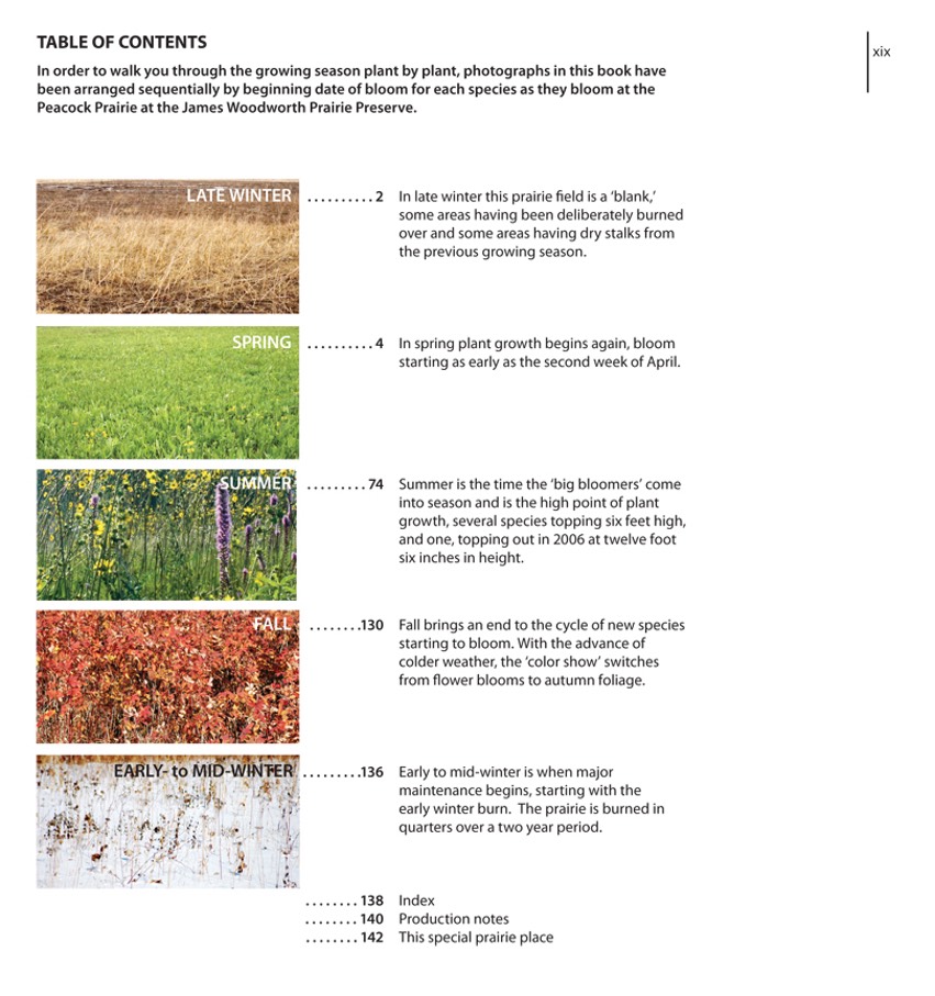 10 - table of contents