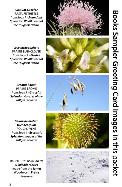 4 BOOK SAMPLER greeting cards HORIZONTAL (02)