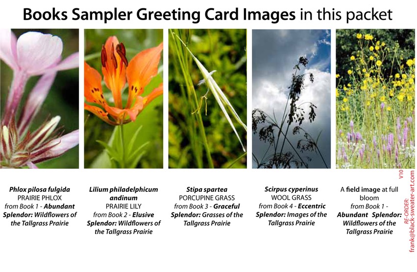 4 BOOK SAMPLER greeting cards VERTICAL (10)