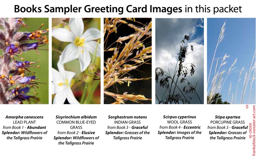 4 BOOK SAMPLER greeting cards VERTICAL (09)