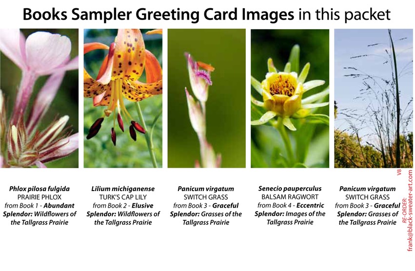 4 BOOK SAMPLER greeting cards VERTICAL (08)