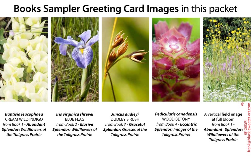 4 BOOK SAMPLER greeting cards VERTICAL (06)
