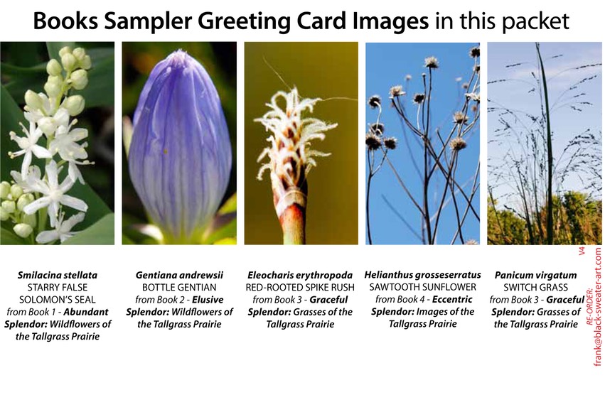 4 BOOK SAMPLER greeting cards VERTICAL (04)