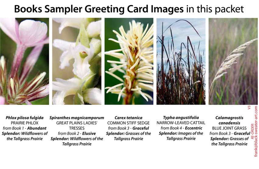 4 BOOK SAMPLER greeting cards VERTICAL (03)