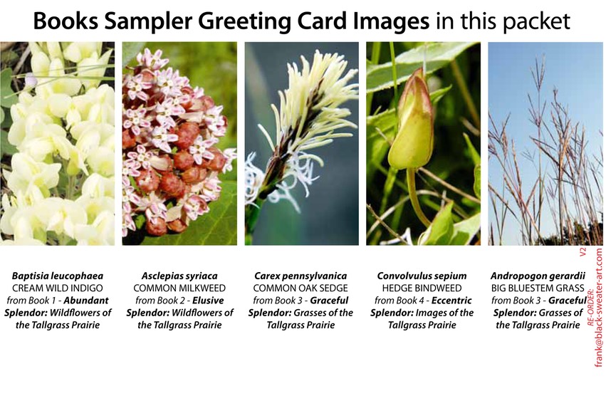 4 BOOK SAMPLER greeting cards VERTICAL (02)