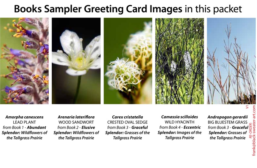 4 BOOK SAMPLER greeting cards VERTICAL (01)