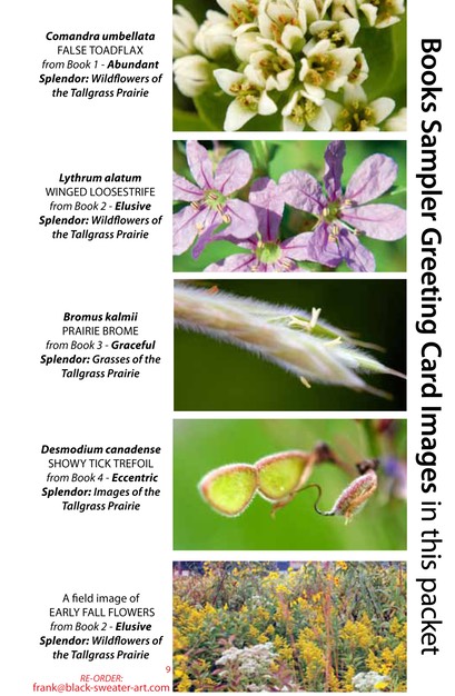 4 BOOK SAMPLER greeting cards HORIZONTAL (09)