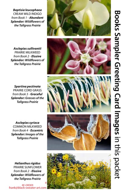 4 BOOK SAMPLER greeting cards HORIZONTAL (08)