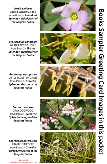 4 BOOK SAMPLER greeting cards HORIZONTAL (06)