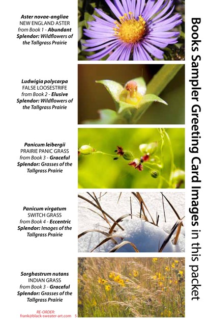 4 BOOK SAMPLER greeting cards HORIZONTAL (05)