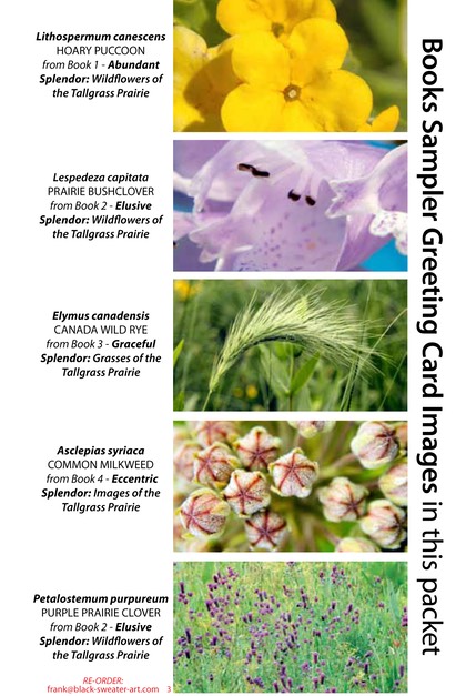 4 BOOK SAMPLER greeting cards HORIZONTAL (03)