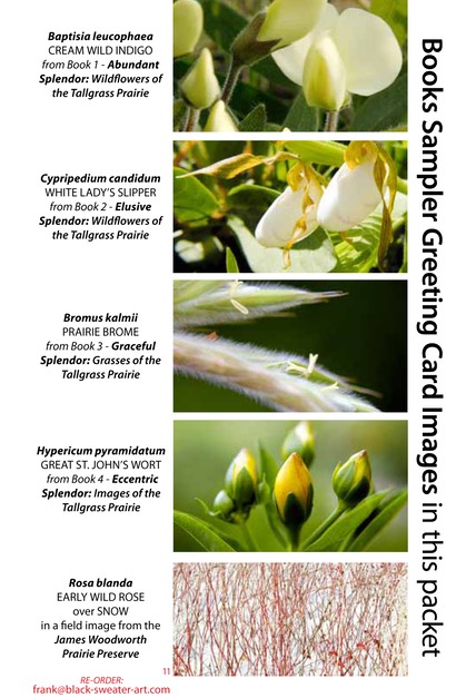 4 BOOK SAMPLER greeting cards HORIZONTAL (11)