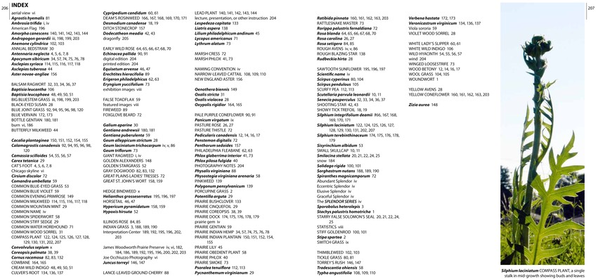 ECCENTRIC Index.small