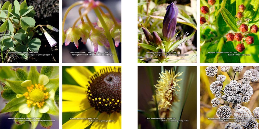 ECCENTRIC p.28.small