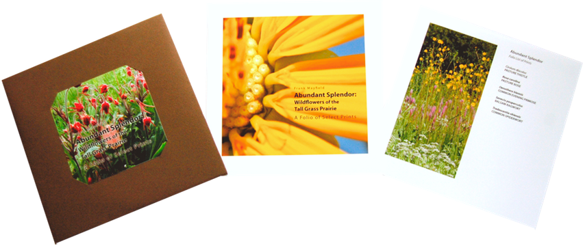 Folio images in each packet