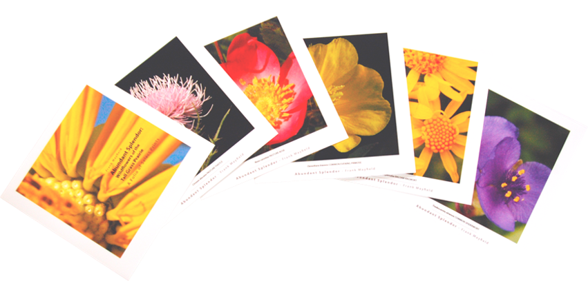 Sample five select Folio images