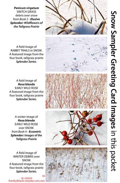 SNOW SAMPLER greeting cards HORIZONTAL (1)